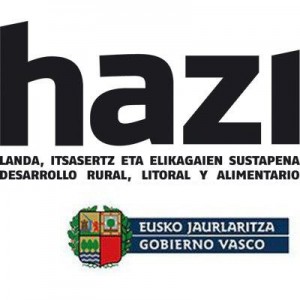 Logo Hazi
