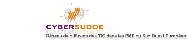 Logo_Cybersudoe