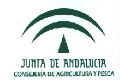 logo_CIFA_ptt