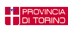 logo_PTorino_ptt